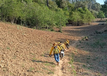 Incendio forestal de Coyomeapa se encuentra controlado al 80%