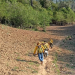 Incendio forestal de Coyomeapa se encuentra controlado al 80%