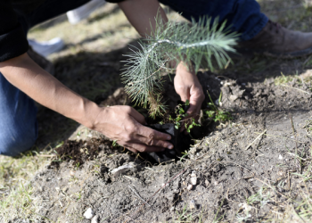 Reduce la BUAP su huella de carbono