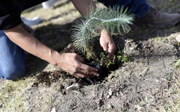 Reduce la BUAP su huella de carbono