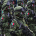 Senado autoriza ejercicios militares conjuntos con Estados Unidos en la frontera