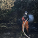 Liquidan incendios de pastizales en Puebla capital