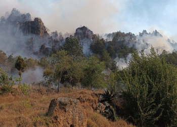 Incendio en Huixcolotla se combate en dos frentes: Medio Ambiente