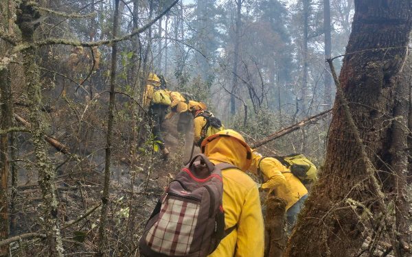Trabajan más de 400 brigadistas en incendio en Ocotepec e Ixtacamaxtitlán