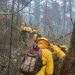 Trabajan más de 400 brigadistas en incendio en Ocotepec e Ixtacamaxtitlán