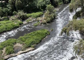 Dos décadas para recuperar condiciones climáticas