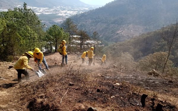 Incendio forestal en Aquixtla, liquidado al 100%