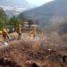 Incendio forestal en Aquixtla, liquidado al 100%