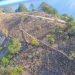 Por incendio forestal, suspenden clases en escuelas de Zacatlán