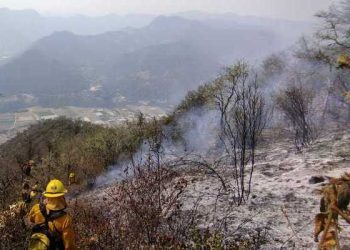 Interpone gobierno cinco denuncias por daño ambiental