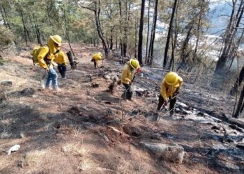 Sorprendidos al provocar incendio para hurtar casas