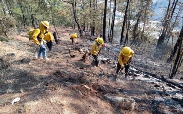 Sorprendidos al provocar incendio para hurtar casas
