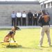 SSC Puebla contará con nueva unidad K-9