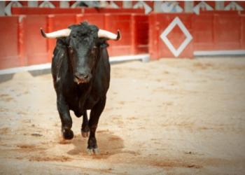 Juez acepta amparo para suspender las corridas de toros en la CDMX