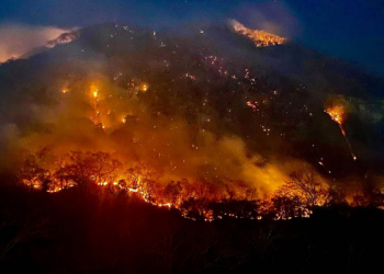 Afectadas, 9 mil 710 hectáreas por incendios