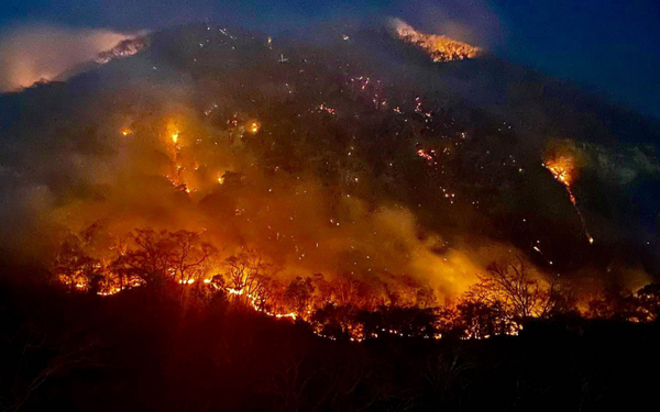 Afectadas, 9 mil 710 hectáreas por incendios