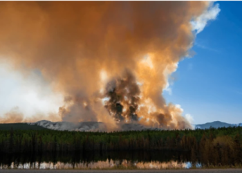 Canadá registra 87 incendios forestales activos, seis de ellos fuera de control