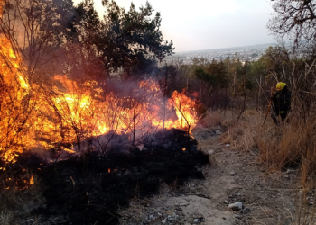 Sofocan incendio en Flor del Bosque