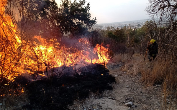 Sofocan incendio en Flor del Bosque