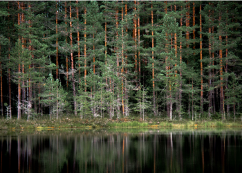 Helsinki