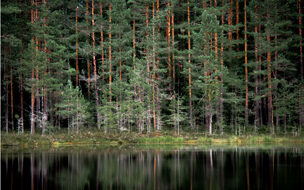 Helsinki