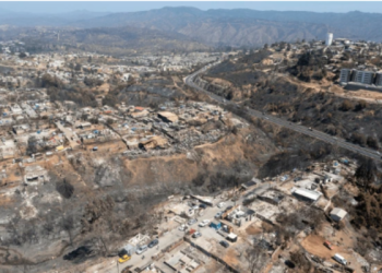 Detienen a trabajador forestal relacionado con incendio de febrero en Chile