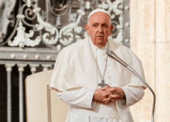 Papa Francisco se disculpa por expresiones homófobas
