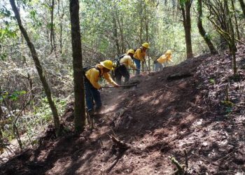 Reportan 14 incendios forestales en un día