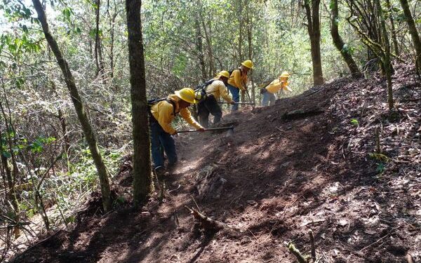 Reportan 14 incendios forestales en un día