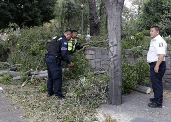 Ráfagas de viento derriban árbol en bulevar 5 de Mayo