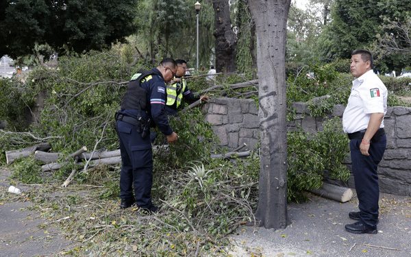 Ráfagas de viento derriban árbol en bulevar 5 de Mayo