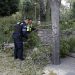 Ráfagas de viento derriban árbol en bulevar 5 de Mayo