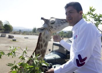 Voto útil pide Rivera a militantes de MC