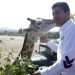 Voto útil pide Rivera a militantes de MC