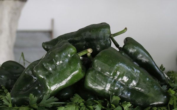 Congreso de Puebla aprueba declarar la “Semana del Chile Poblano”