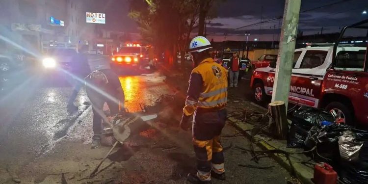 Lluvia en Puebla capital provoca inundaciones y caída de árboles