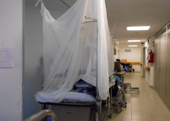 Fallecieron 98 por dengue entre enero y mayo