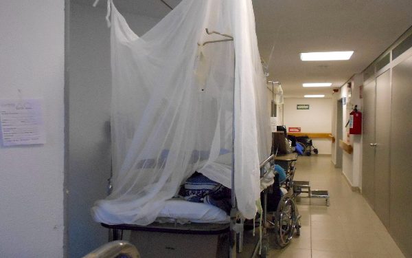 Fallecieron 98 por dengue entre enero y mayo