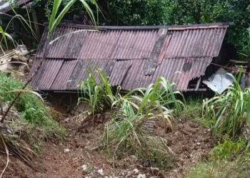 Lluvias causan afectaciones en Sierra Negra