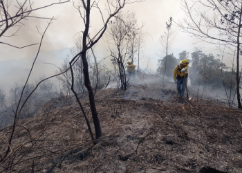 Quimixtlán y Juan Galindo, en crisis por incendios