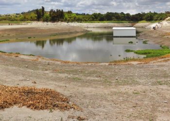 Sólo cinco municipios tienen ecosistemas a salvo