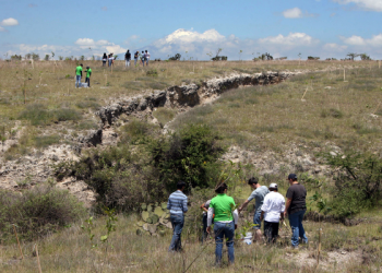 BUAP invita a sumarse a los 12 Ecoretos en beneficio del medio ambiente
