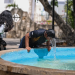 Olas de calor en México dejan 155 muertos en lo que va de 2024