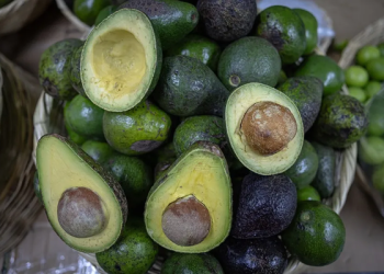 Estados Unidos levanta suspensión al comercio de aguacate y mango con México