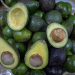 Estados Unidos levanta suspensión al comercio de aguacate y mango con México