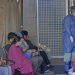 Sin riesgo de contagio por influenza aviar A(H5N2)