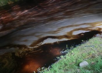 Reportan derrame de combustible en el río San Marcos de La Ceiba