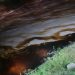 Reportan derrame de combustible en el río San Marcos de La Ceiba