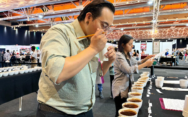 Reconocen calidad de café poblano