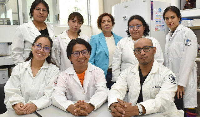BUAP: Extractos de pápalo y pipicha inhiben crecimiento de bacterias patógenas